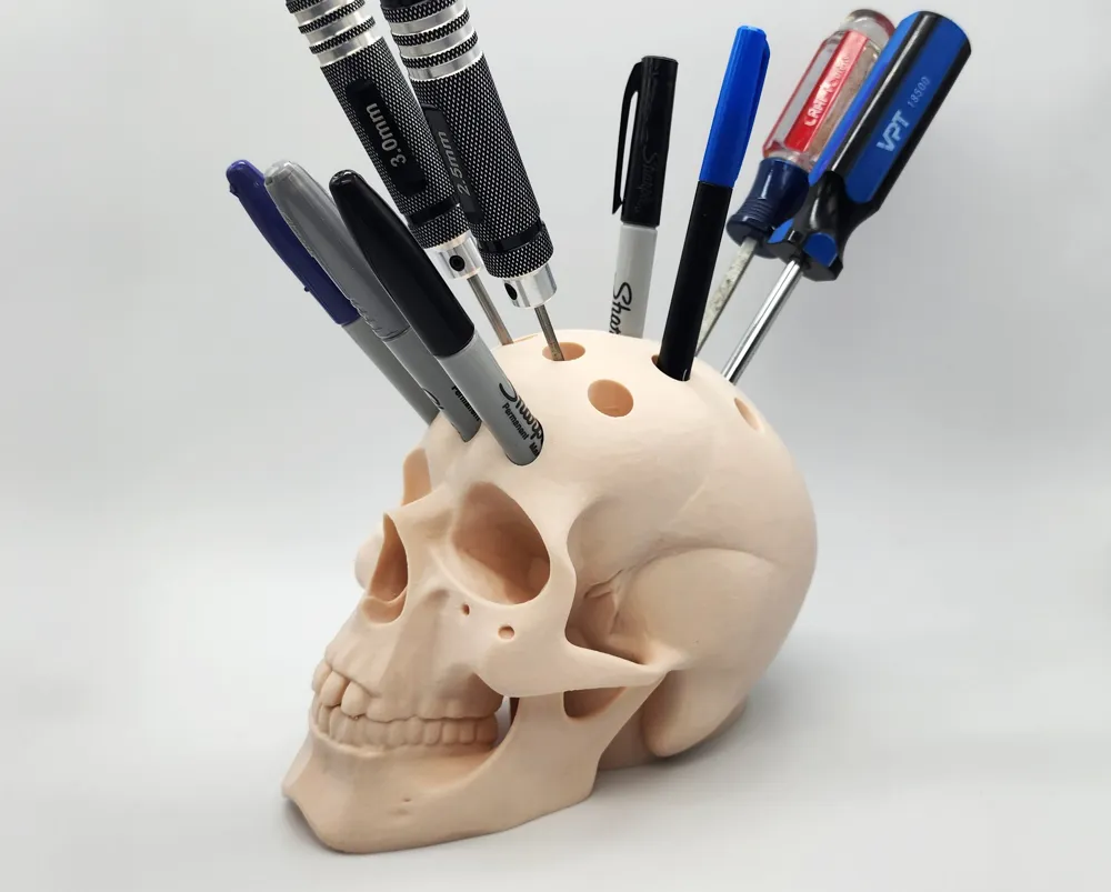 Human Skull Pen Holder (حامل أقلام شكل جمجمة) | متجر Ibda3D الجزائر
